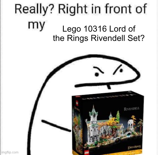Really, right in front of my | Lego 10316 Lord of the Rings Rivendell Set? | image tagged in really right in front of my | made w/ Imgflip meme maker