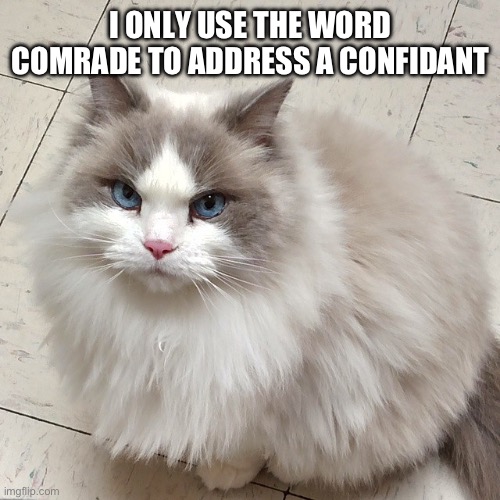 I ONLY USE THE WORD COMRADE TO ADDRESS A CONFIDANT | made w/ Imgflip meme maker