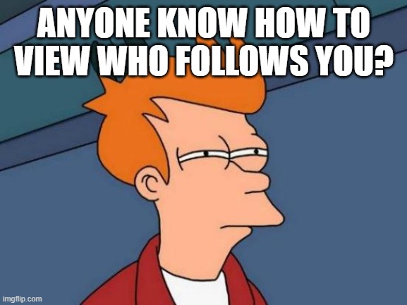 idk | ANYONE KNOW HOW TO VIEW WHO FOLLOWS YOU? | image tagged in memes,futurama fry | made w/ Imgflip meme maker