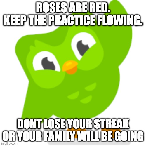 Duolingo memes | ROSES ARE RED.
KEEP THE PRACTICE FLOWING. DONT LOSE YOUR STREAK
OR YOUR FAMILY WILL BE GOING | image tagged in duolingo memes | made w/ Imgflip meme maker