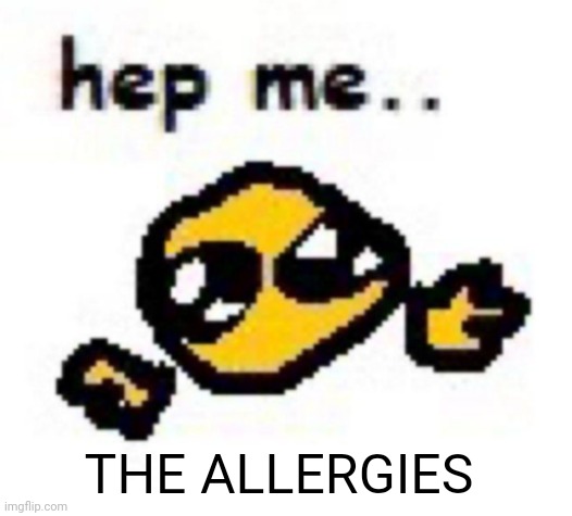 THE ALLERGIES | made w/ Imgflip meme maker
