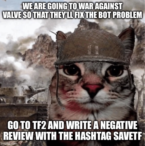 This is war >:( | WE ARE GOING TO WAR AGAINST VALVE SO THAT THEY’LL FIX THE BOT PROBLEM; GO TO TF2 AND WRITE A NEGATIVE REVIEW WITH THE HASHTAG SAVETF | image tagged in war cat | made w/ Imgflip meme maker