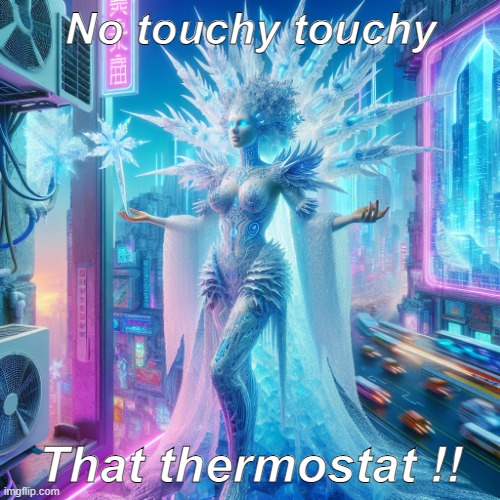 Ice Queen AirCon Warden | No touchy touchy; That thermostat !! | image tagged in game of throne's ice queen air con warden | made w/ Imgflip meme maker