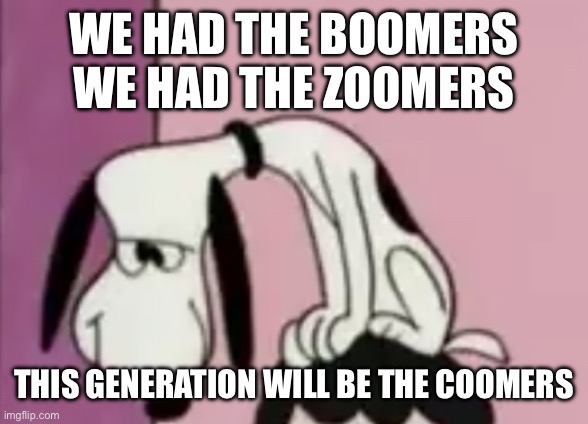 The snoops | WE HAD THE BOOMERS
WE HAD THE ZOOMERS; THIS GENERATION WILL BE THE COOMERS | image tagged in the snoops | made w/ Imgflip meme maker