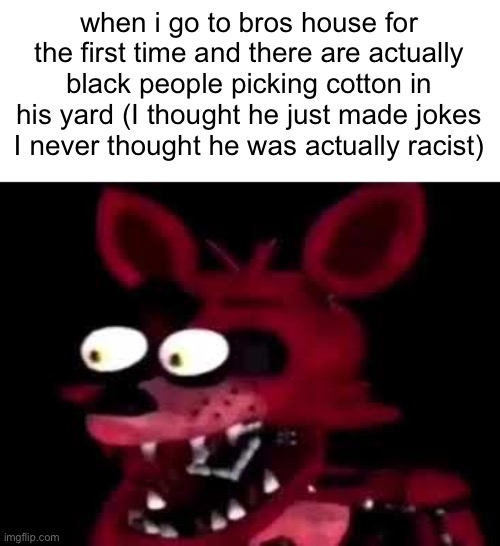 bro moment | when i go to bros house for the first time and there are actually black people picking cotton in his yard (I thought he just made jokes I never thought he was actually racist) | made w/ Imgflip meme maker