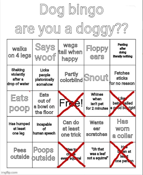 the squirrel thing is only when hunting | image tagged in dog bingo | made w/ Imgflip meme maker