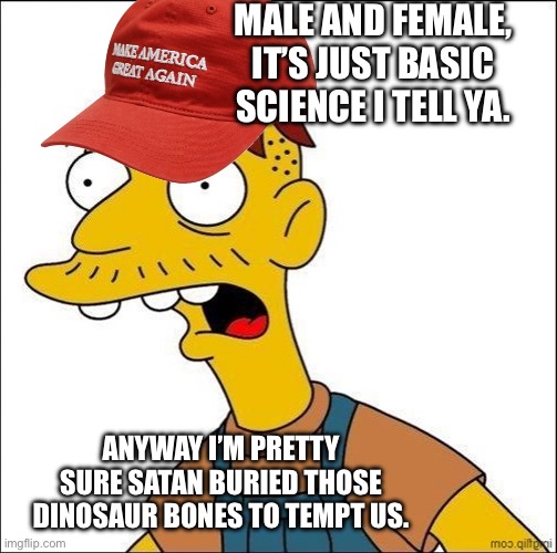 The science understanders are here to explain gender to us. | MALE AND FEMALE, IT’S JUST BASIC SCIENCE I TELL YA. ANYWAY I’M PRETTY SURE SATAN BURIED THOSE DINOSAUR BONES TO TEMPT US. | image tagged in some kind of maga moron,creationism,dinosaurs,republicans,christianity | made w/ Imgflip meme maker