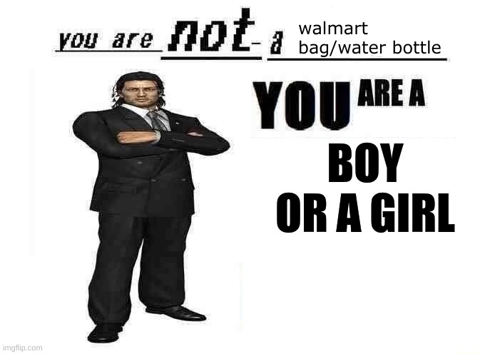 you are not a X | walmart bag/water bottle; BOY OR A GIRL | image tagged in you are not a x | made w/ Imgflip meme maker