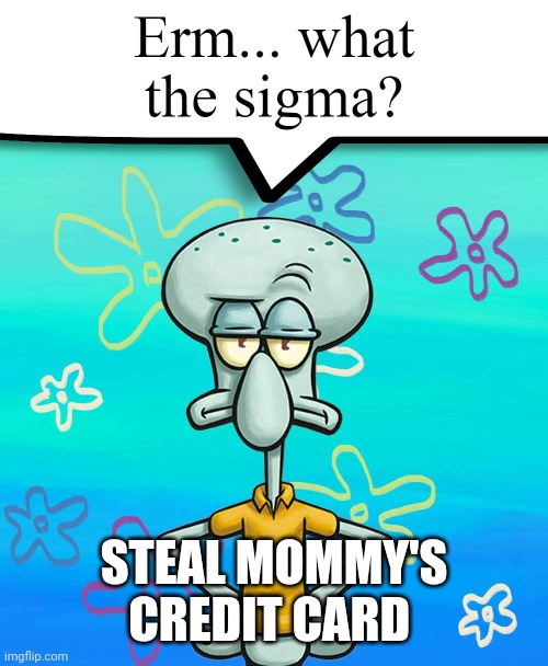 Erm... what the sigma? | STEAL MOMMY'S CREDIT CARD | image tagged in erm what the sigma | made w/ Imgflip meme maker