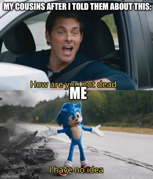 Sonic I have no idea | MY COUSINS AFTER I TOLD THEM ABOUT THIS: ME | image tagged in sonic i have no idea | made w/ Imgflip meme maker