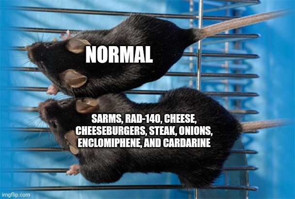 Buff Super Mice | NORMAL; SARMS, RAD-140, CHEESE, CHEESEBURGERS, STEAK, ONIONS, ENCLOMIPHENE, AND CARDARINE | image tagged in buff super mice | made w/ Imgflip meme maker