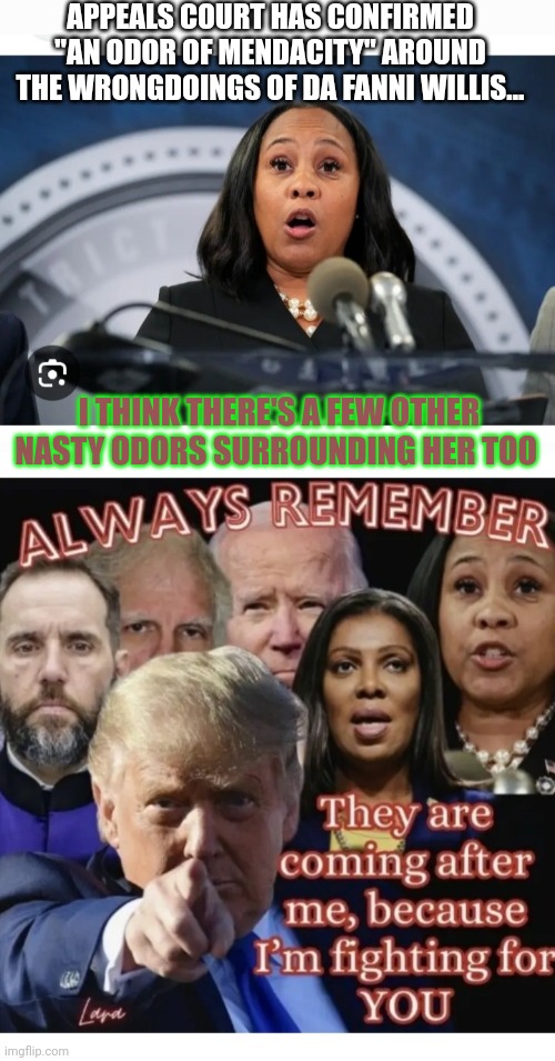 She Smells | APPEALS COURT HAS CONFIRMED "AN ODOR OF MENDACITY" AROUND THE WRONGDOINGS OF DA FANNI WILLIS... I THINK THERE'S A FEW OTHER NASTY ODORS SURROUNDING HER TOO | image tagged in fire,libtard,criminals,vote,president trump | made w/ Imgflip meme maker