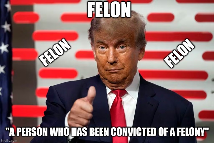 Orange Criminal | FELON; FELON; FELON; "A PERSON WHO HAS BEEN CONVICTED OF A FELONY" | image tagged in felon,trump,criminal,corrupt,loser,scumbag | made w/ Imgflip meme maker