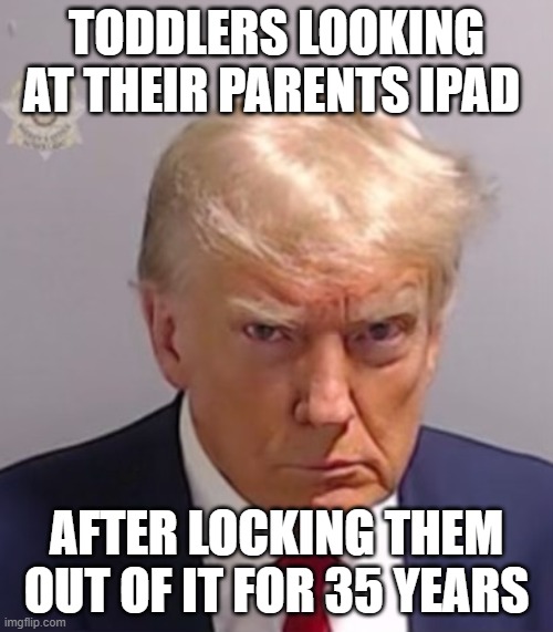 Me FR | TODDLERS LOOKING AT THEIR PARENTS IPAD; AFTER LOCKING THEM OUT OF IT FOR 35 YEARS | image tagged in donald trump mugshot,toddlers,ipad,funny,relatable | made w/ Imgflip meme maker