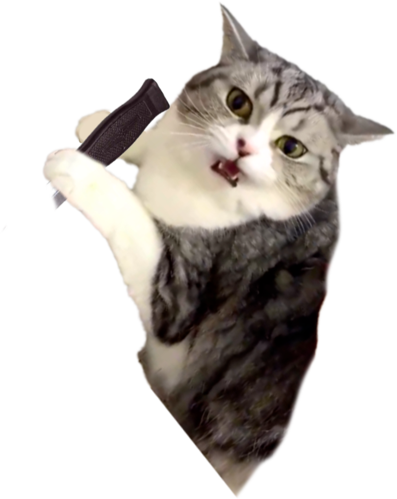 Cat with Knife Blank Meme Template