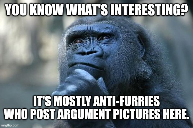 Maybe revamp this stream a bit? | YOU KNOW WHAT'S INTERESTING? IT'S MOSTLY ANTI-FURRIES WHO POST ARGUMENT PICTURES HERE. | image tagged in deep thoughts | made w/ Imgflip meme maker