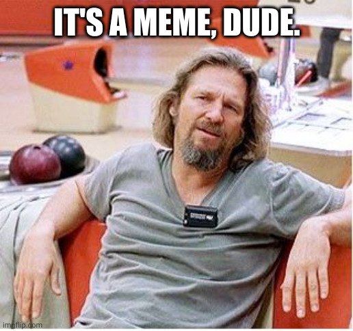 No need to get defensive, Dude | IT'S A MEME, DUDE. | image tagged in big lebowski,memes,the dude,chillax,why so serious,what is wrong with you | made w/ Imgflip meme maker