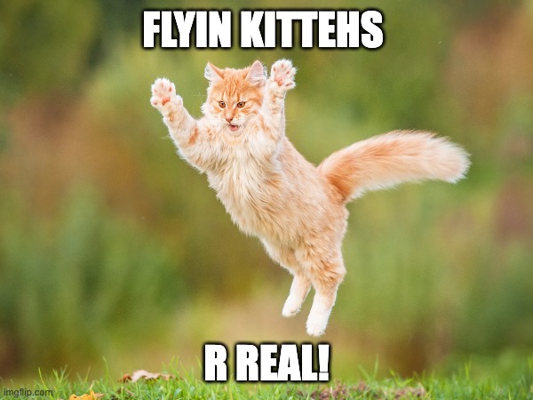 FLYIN KITTEHS; R REAL! | made w/ Imgflip meme maker