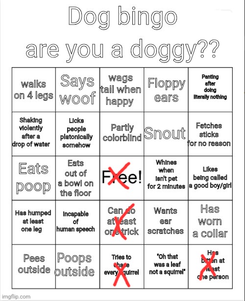 Ok good. I'm safe from Dawn | image tagged in dog bingo | made w/ Imgflip meme maker