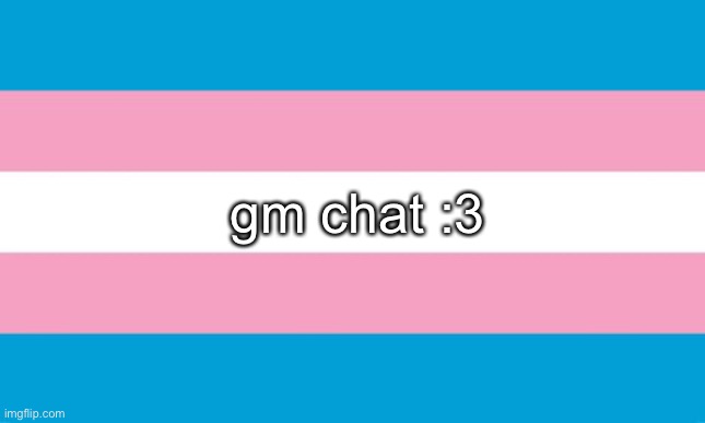 tis’n’t wednesday my dudes | gm chat :3 | image tagged in transgender flag | made w/ Imgflip meme maker