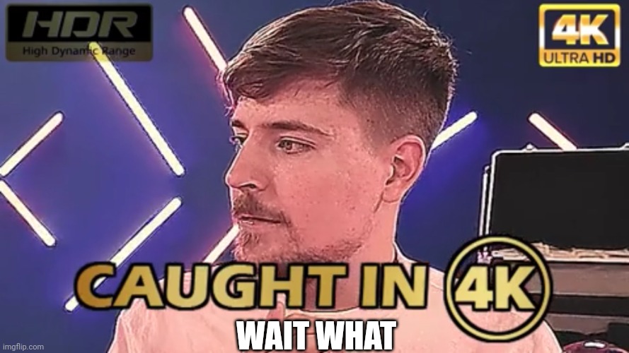 caught in 4k MrBeast | WAIT WHAT | image tagged in caught in 4k mrbeast | made w/ Imgflip meme maker