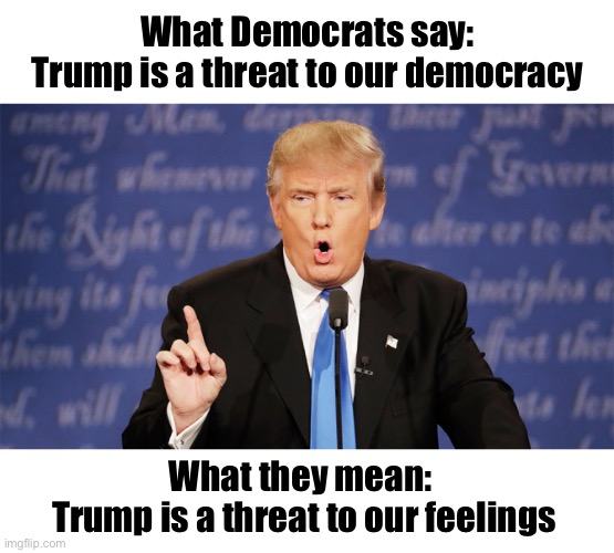 “Our democracy” has been hijacked by the left | What Democrats say:
Trump is a threat to our democracy; What they mean:  
Trump is a threat to our feelings | image tagged in donald trump wrong | made w/ Imgflip meme maker