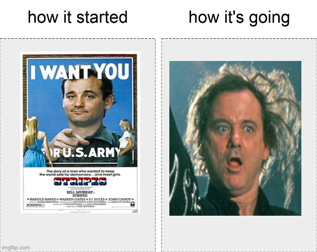 Bill Murray hair | image tagged in how it started vs how it's going | made w/ Imgflip meme maker