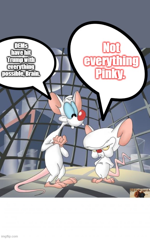 Pinky & the Brains thoughts about whats going on. | Not everything Pinky. DEMs have hit Trump with everything possible, Brain. | image tagged in pinky and the brain | made w/ Imgflip meme maker