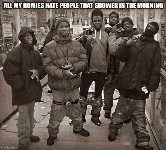 free epic Pryanik | ALL MY HOMIES HATE PEOPLE THAT SHOWER IN THE MORNING | image tagged in all my homies hate | made w/ Imgflip meme maker