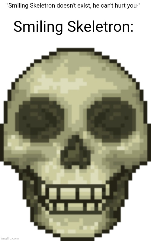 Smiling Skeletron:; "Smiling Skeletron doesn't exist, he can't hurt you-" | image tagged in memes,terraria,video games,cursed | made w/ Imgflip meme maker