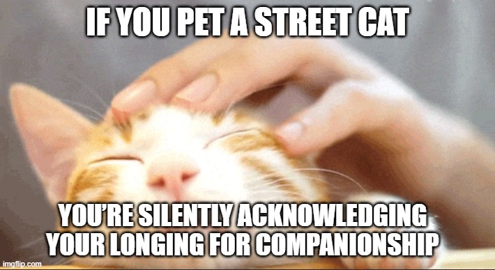 right? | IF YOU PET A STREET CAT; YOU’RE SILENTLY ACKNOWLEDGING YOUR LONGING FOR COMPANIONSHIP | image tagged in cats,wisdom,cute,adorable,pet,petting | made w/ Imgflip meme maker