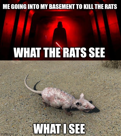 the rats in my basement stand no chance. | ME GOING INTO MY BASEMENT TO KILL THE RATS; WHAT THE RATS SEE; WHAT I SEE | image tagged in darth vader,star wars | made w/ Imgflip meme maker