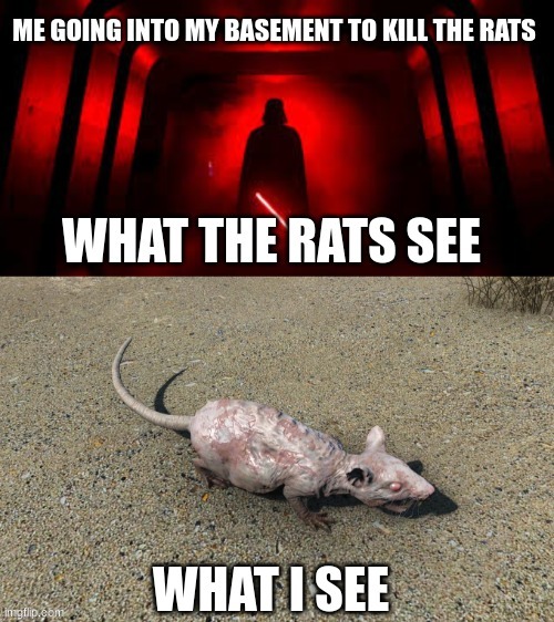 the rats stand no chance | image tagged in darth vader,star wars | made w/ Imgflip meme maker