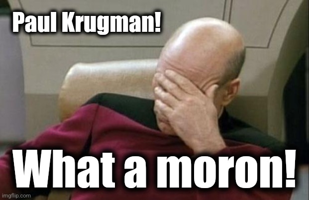Captain Picard Facepalm Meme | Paul Krugman! What a moron! | image tagged in memes,captain picard facepalm | made w/ Imgflip meme maker