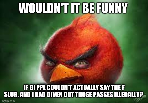 Realistic Red Angry Birds | WOULDN'T IT BE FUNNY; IF BI PPL COULDN'T ACTUALLY SAY THE F SLUR, AND I HAD GIVEN OUT THOSE PASSES ILLEGALLY? | image tagged in realistic red angry birds | made w/ Imgflip meme maker