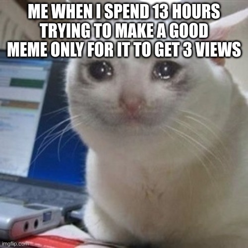 Crying cat | ME WHEN I SPEND 13 HOURS TRYING TO MAKE A GOOD MEME ONLY FOR IT TO GET 3 VIEWS | image tagged in crying cat | made w/ Imgflip meme maker