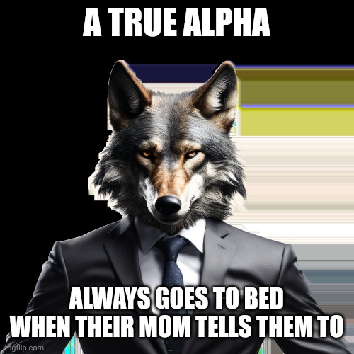 ALPHA WOLF | A TRUE ALPHA; ALWAYS GOES TO BED WHEN THEIR MOM TELLS THEM TO | image tagged in alpha wolf | made w/ Imgflip meme maker
