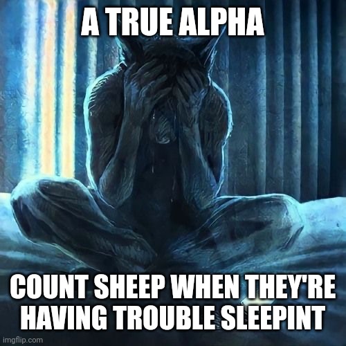 Alpha wolf | A TRUE ALPHA; COUNT SHEEP WHEN THEY'RE HAVING TROUBLE SLEEPINT | image tagged in alpha wolf | made w/ Imgflip meme maker
