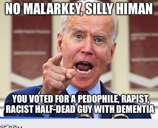 Democrats | NO MALARKEY, SILLY HUMAN YOU VOTED FOR A PEDOPHILE, RAPIST, RACIST HALF-DEAD GUY WITH DEMENTIA | image tagged in joe biden no malarkey | made w/ Imgflip meme maker