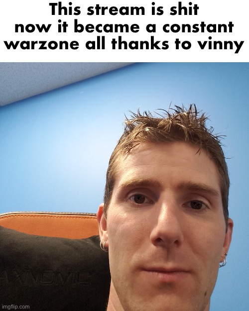 It's all vinny's fault for being a snowflake sometimes (ok maybe all of the time) | This stream is shit now it became a constant warzone all thanks to vinny | image tagged in linus tech tips,thanks a lot vinny | made w/ Imgflip meme maker