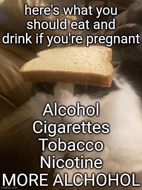 bread cat | here's what you should eat and drink if you're pregnant; Alcohol
Cigarettes
Tobacco
Nicotine
MORE ALCHOHOL | image tagged in bread cat | made w/ Imgflip meme maker