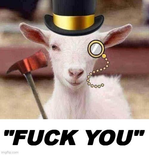 fuck you | image tagged in fuck you | made w/ Imgflip meme maker