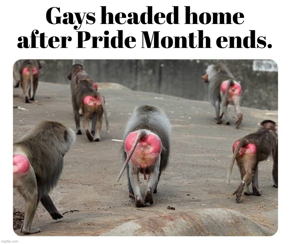 Gays headed home after Pride Month ends. | image tagged in gay pride month,butthurt liberals,butthurt dweller,butthurt,sore loser,butt sex | made w/ Imgflip meme maker