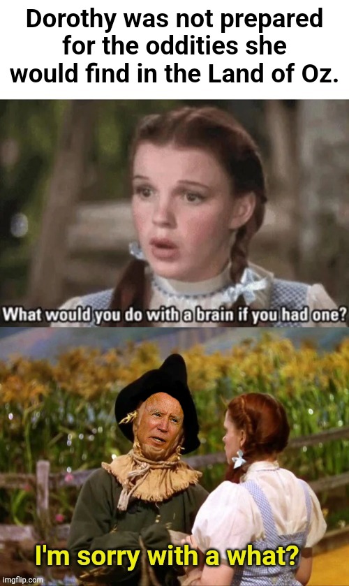 If he only had a brain.... | Dorothy was not prepared for the oddities she would find in the Land of Oz. | image tagged in wizard of oz,wizard of oz scarecrow,sad joe biden | made w/ Imgflip meme maker