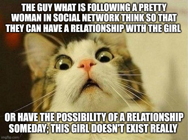 Ghost ? | THE GUY WHAT IS FOLLOWING A PRETTY WOMAN IN SOCIAL NETWORK THINK SO THAT THEY CAN HAVE A RELATIONSHIP WITH THE GIRL; OR HAVE THE POSSIBILITY OF A RELATIONSHIP SOMEDAY; THIS GIRL DOESN'T EXIST REALLY | image tagged in memes,scared cat | made w/ Imgflip meme maker