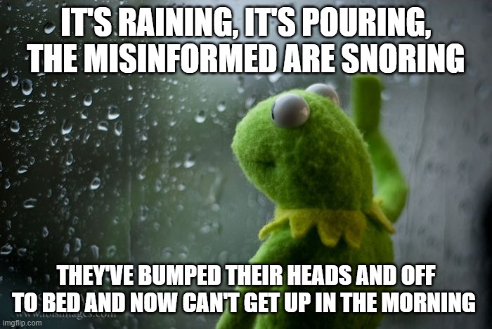 kermit window | IT'S RAINING, IT'S POURING, THE MISINFORMED ARE SNORING; THEY'VE BUMPED THEIR HEADS AND OFF TO BED AND NOW CAN'T GET UP IN THE MORNING | image tagged in kermit window | made w/ Imgflip meme maker