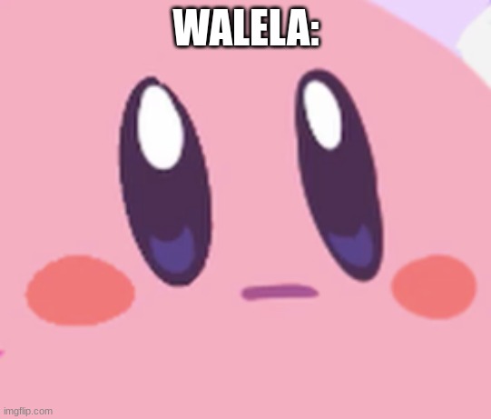 Blank Kirby Face | WALELA: | image tagged in blank kirby face | made w/ Imgflip meme maker