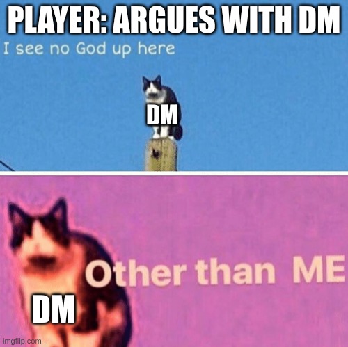 Hail pole cat | PLAYER: ARGUES WITH DM; DM; DM | image tagged in hail pole cat,dnd | made w/ Imgflip meme maker