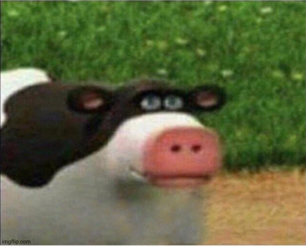 perhaps barnyard | image tagged in perhaps barnyard | made w/ Imgflip meme maker