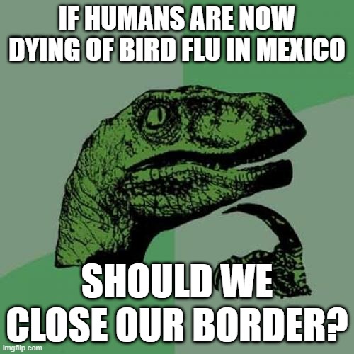Philosoraptor | IF HUMANS ARE NOW DYING OF BIRD FLU IN MEXICO; SHOULD WE CLOSE OUR BORDER? | image tagged in memes,philosoraptor | made w/ Imgflip meme maker